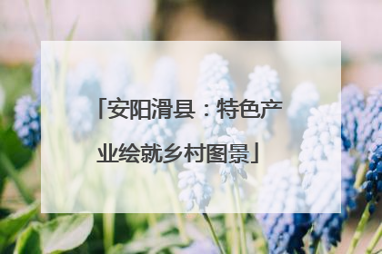 安阳滑县：特色产业绘就乡村图景